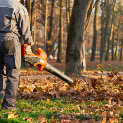 unrecognizable-male-worker-using-leaf-blower-city-park-fall-back-view-strong-man-wearing_7502-10305 1